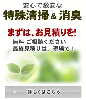 特殊清掃・消臭